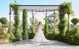 Bridal Dress: Sophia Tolli FALL 2019 Collection - Y21982 - Reanna  